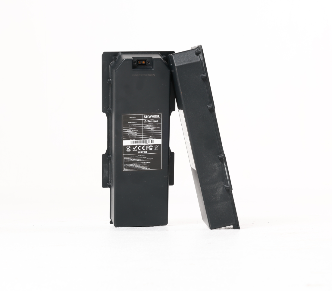 Batterie SKWHEEL PEAK S